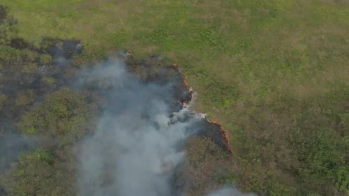 Drone shot of a forest fire on an island.