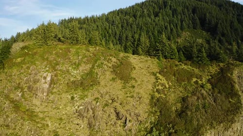 Aerial view over forested hills on Oregon Coast, hiker parking lot in valley below.