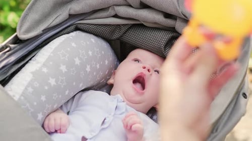 Newborn Baby in a Stroller with His Mother in the Park
