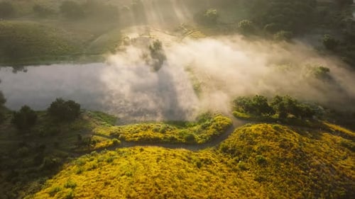 Lake Covered Morning Fog in Valley of Santa Monica Mountains