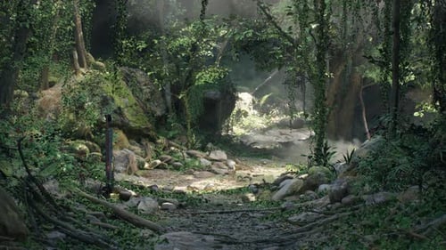 Nature Walk Through Lush Tropical Growth