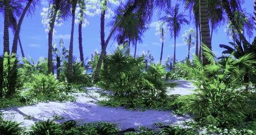 Tropical Beach with Palm Trees and Ocean Animation