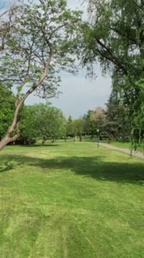 Parc spécial Greenery