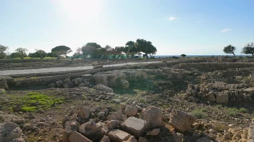 A view of the archaeological site in Cyprus featuring ancient stone ruins with a backdrop of trees a