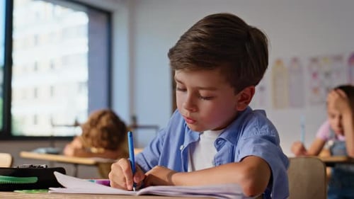 Boy Studying in School Classroom
