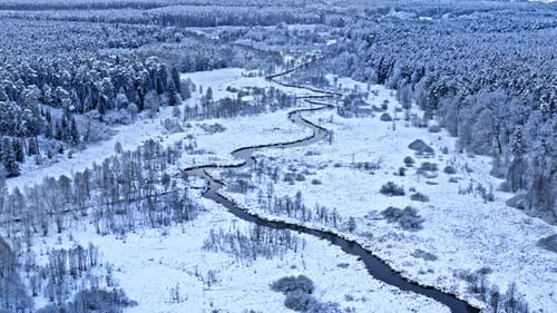 Curvy river and frozen forest in winter. Nature in Poland.
