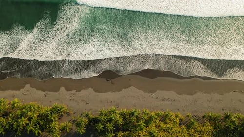 Blick von oben auf Meereswellen, die entlang der üppigen Palmenküste mit dunklem Sand brechen