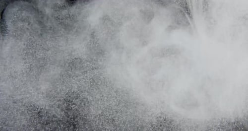 Particules de poussière, farine, débris volant sur fond noir