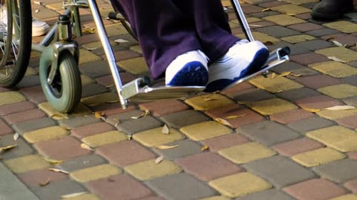 Man in Wheelchair in Park Selective Focus