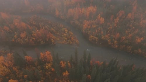 Atmosfera nebulosa no rio Autumn Forest, perto do Parque Nacional Tombstone, na rodovia Dempster, Yukon Cana