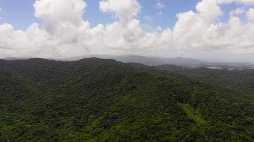 Verdant Green Forest Hills from Drone View