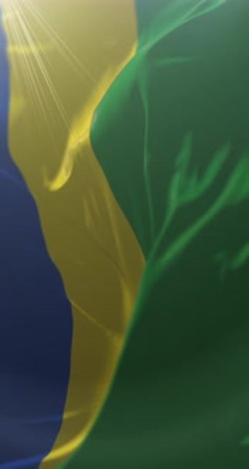 Waving Vertical Flag Motion Background with Sunrays