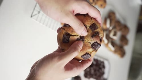 Vertical Shot Of Hands Breaking Freshly Baked Chocolate Chip Cookie. close up