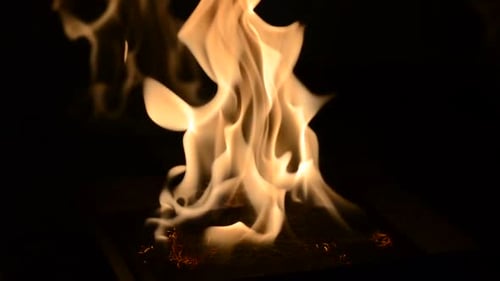 One Biofireplace Burn on Ethanol Gas