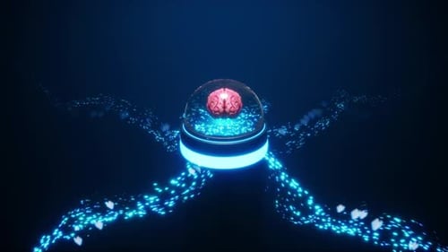 Machine Learning Evolution: Neural Brain Information Processing
