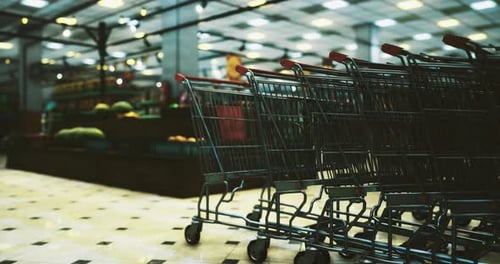Shopping Carts Lined Up Waiting in Supermarket During Busy Afternoon Hours
