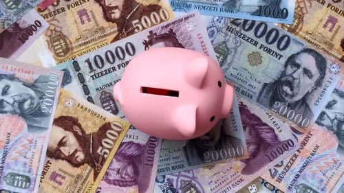 A piggy bank as a concept for storing, accumulating, and saving financial resources. A piggy bank