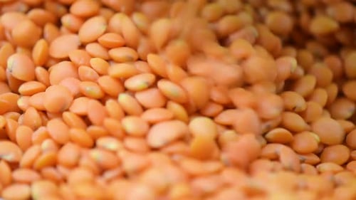 Close Up of Red Lentils Being Poured