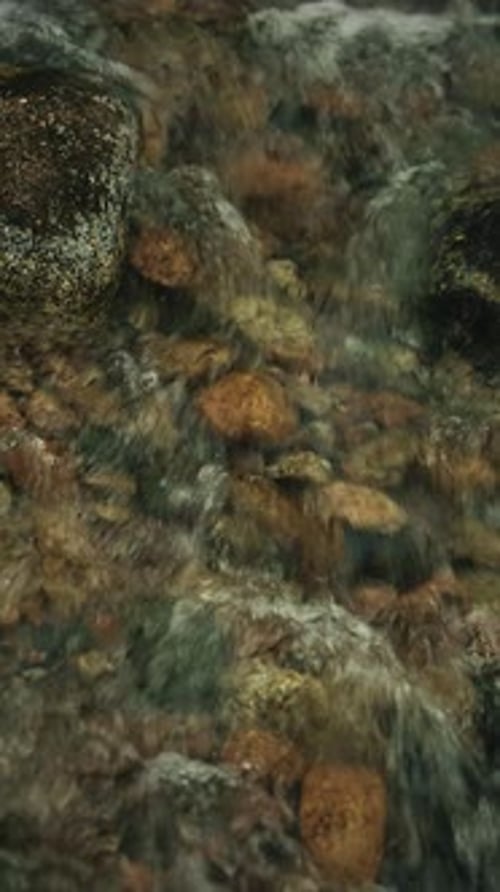 Crystal Clear Mountain River Flowing Over Colorful Stones