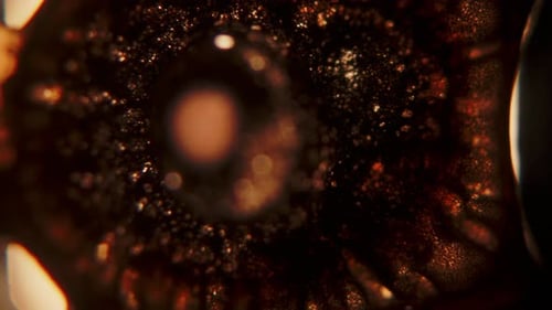 Abstract Organic Texture with Circular Opening