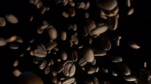Roasted Coffee Beans Falling in Slow Motion