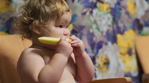 Un jeune enfant est assis sur une chaise haute et se concentre sur une tranche de melon dans un environnement familial confortable