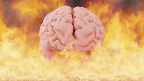 Brain On Fire Loop Mental Illness