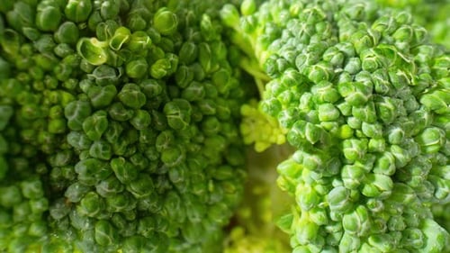 Fresh Green Broccoli Florets Close Up