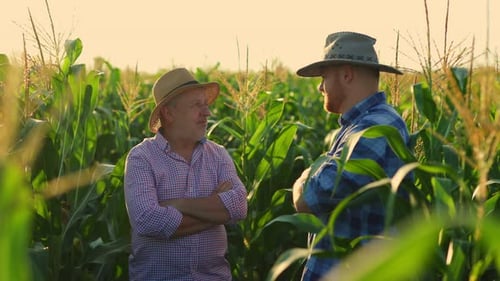 Son and Father Speaking on Corn Field in Countryside
