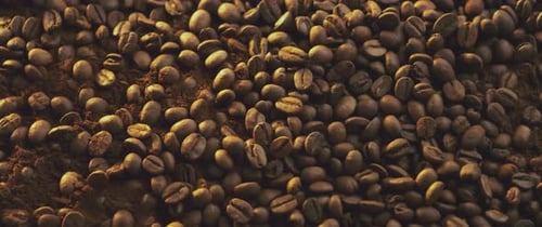 View of roasted coffee beans
