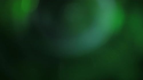 Illuminate Collection: Radial light leak transition with a green hue