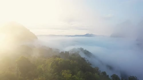 Aerial View Of Tropical Mountain And Rain Forest Landscape In The Morning Mist