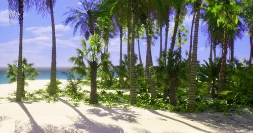 Lush Tropical Paradise with Palm Trees and Sandy Beach Under Clear Sky