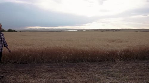 Senior Farmer Couple Walking Along Wheat Crop on Rural Farm 20 Seconds or Greater