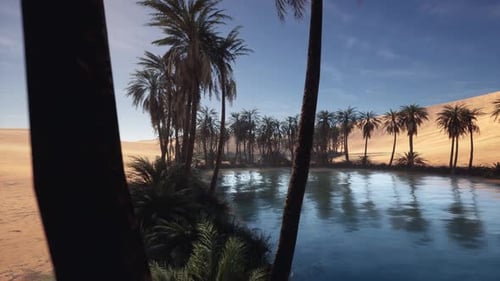 Remote Desert Haven Featuring Lush Plants and Reflective Blue Water