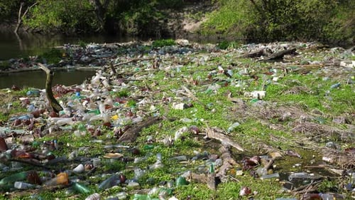 The River is Polluted with Many Plastic Bottles A Lot of Trash is Dumped in Open and Freely