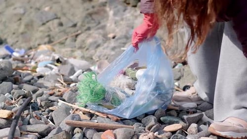Un voluntario está recogiendo basura en una bolsa: planeta libre de basura, limpieza de la naturaleza y ecología verde
