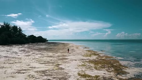 Wonderful forwards slowly rise up drone shot of one guy at a lonely beach at midday noon time.
Drone