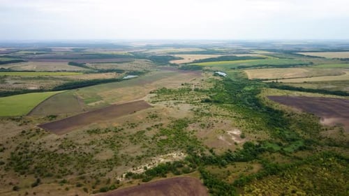 Wheat Fields Aerial View