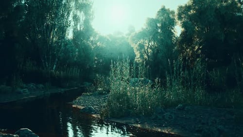 Lush Greenery Reflecting Sunlight on a Tranquil Stream During Golden Hour