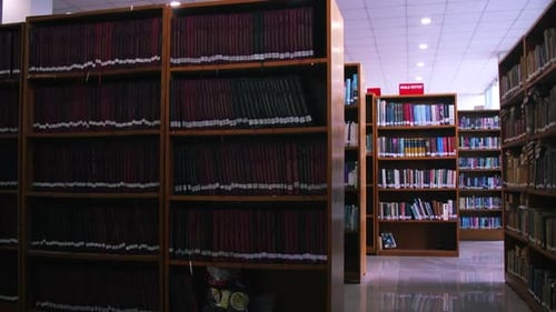 huge classic library of wood shelves books