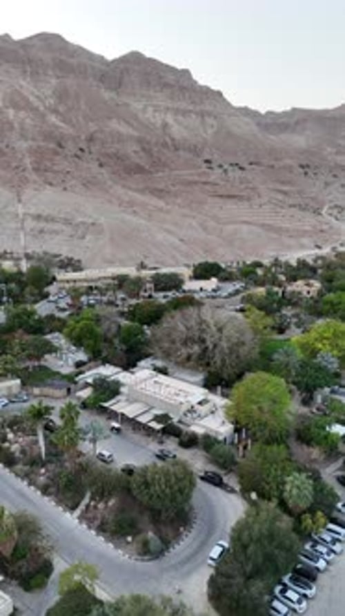 La ville oasis d'Ein Gedi au pied de collines arides