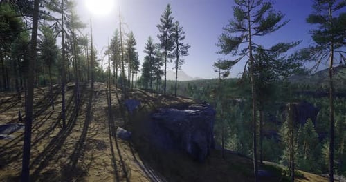 Sunlight Filters Through Trees in a Serene Forest Landscape at Sunset