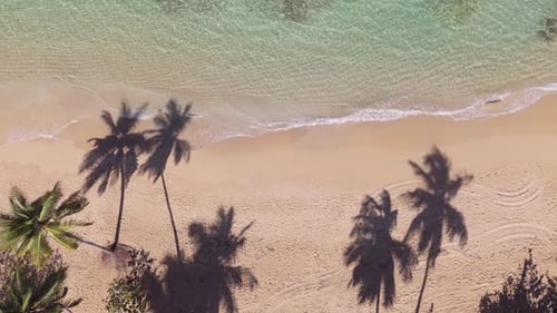 Plage tropicale avec des ombres de palmiers sur du sable doré. Vue aérienne de haut en bas sur le côté