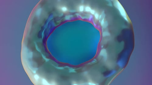 Abstract Fluid Iridescent Ring Morphing Seamless Loop
