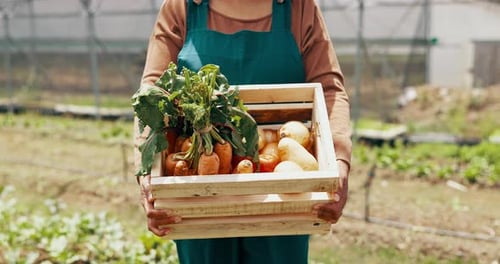 Freshly Harvested Vegetables in a Wooden Crate