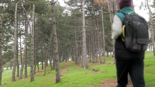 Hiker Running Through a Tranquil Forest Path on a Cloudy Spring Day Embracing Nature
