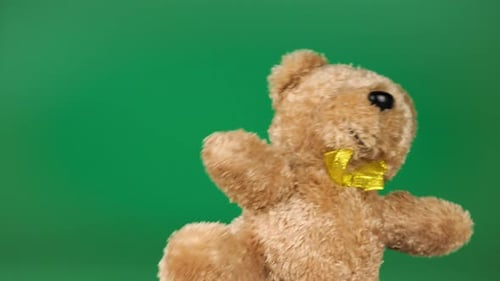 Stuffed and fluffy teddy toy brown bear playing and dancing on a green background.