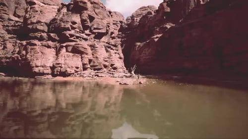 Tranquil View of the Colorado River Reflecting Rugged Canyon Walls