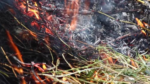 Fire ember